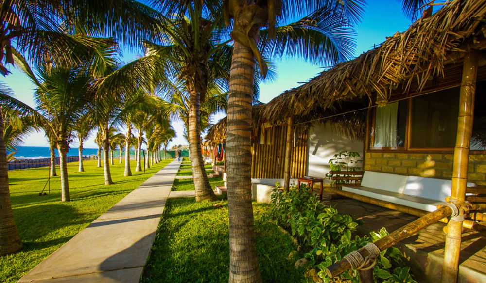 Hotel Playa Palmeras ลอสโอร์กานอส ภายนอก รูปภาพ