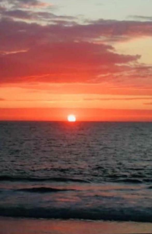 Hotel Playa Palmeras ลอสโอร์กานอส ภายนอก รูปภาพ